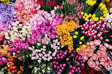 《风色幻想》系列低价发售 新作LOGO首次曝光！